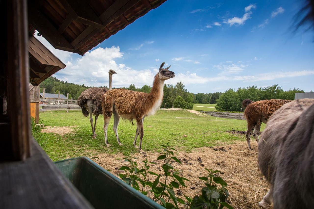 Resort Malevil Jablonné v Podještědí المظهر الخارجي الصورة